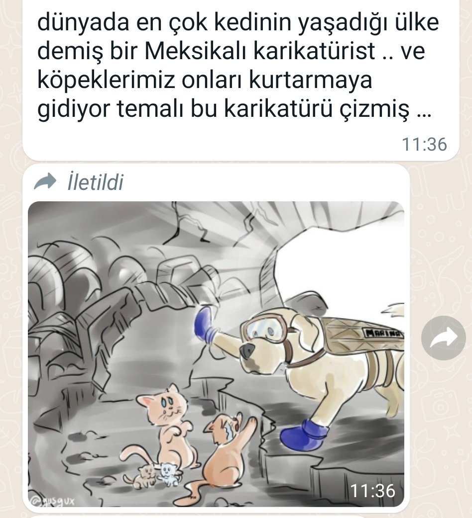 Candostutakipet's tweet photo. Canlarimizi #hayvanlarıbırakmayın #depremsondakika #depremzede #depremhatay #SokakHayvanlarıSahipsizDeğil #hayvanlarıkurtarın #hayvanlarıbirakmayın #hayvanlarbırakilmasin @ahbap @haluklevent https://t.co/20nYnWgjWS
