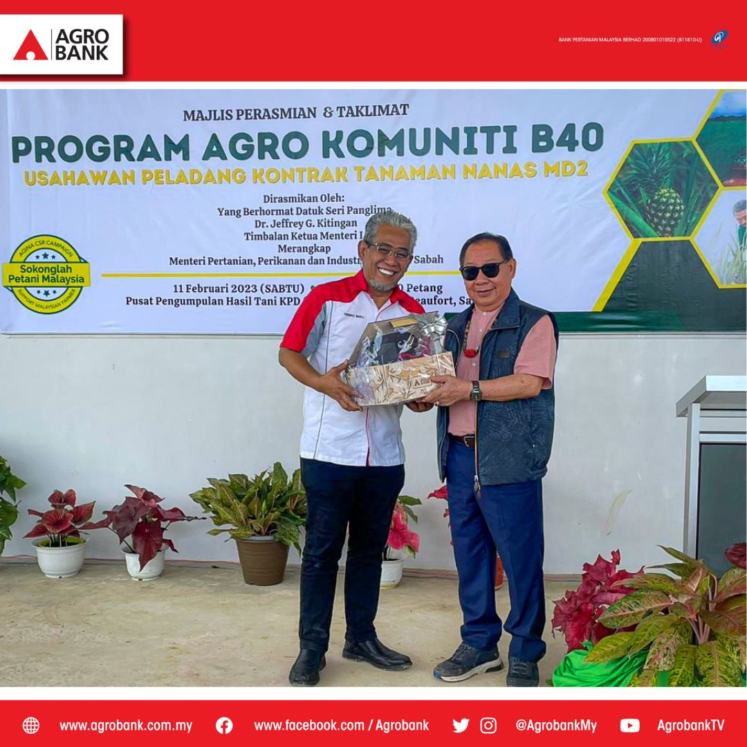 AgrobankMY's tweet photo. Agrobank hari ini, 11 Februari 2023 bersama-sama pada Majlis Perasmian & Taklimat Program Agro Komuniti B40 Usahawan Peladang Kontrak Tanaman Nanas MD2 bertempat di Pasat Pengumpulan Hasil Tani KPD (APCC) Lingkungan, Beaufort, Sabah.
•
#agrobank #aqina #agrokomuniti #usahawan https://t.co/qcQuJ0nNHC