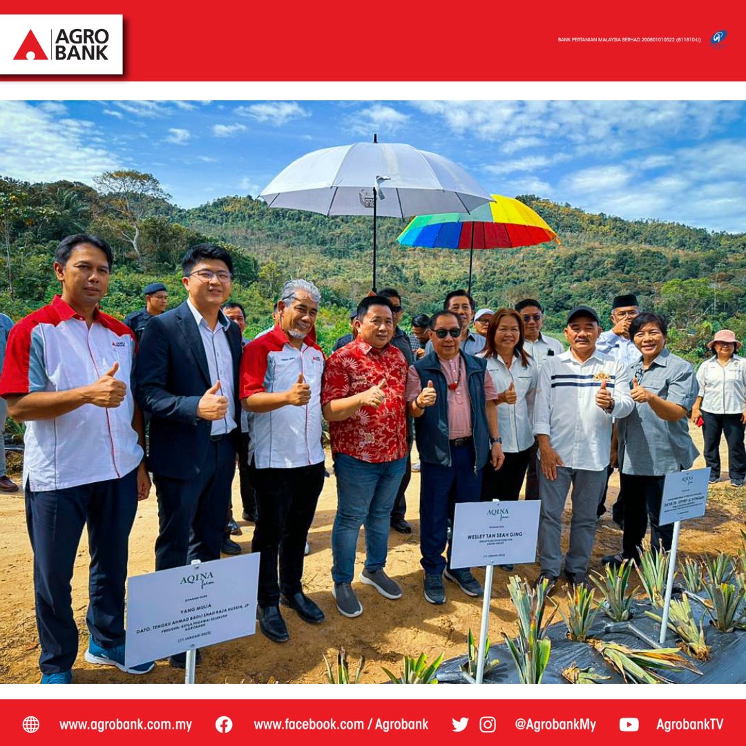 AgrobankMY's tweet photo. Agrobank hari ini, 11 Februari 2023 bersama-sama pada Majlis Perasmian & Taklimat Program Agro Komuniti B40 Usahawan Peladang Kontrak Tanaman Nanas MD2 bertempat di Pasat Pengumpulan Hasil Tani KPD (APCC) Lingkungan, Beaufort, Sabah.
•
#agrobank #aqina #agrokomuniti #usahawan https://t.co/qcQuJ0nNHC
