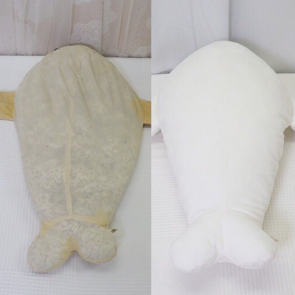 ずっと一緒に居てくれる大切な存在。ごまちゃん　18歳

以前の皮膚を内側にお残しする、
皮膚移植温存法で丈夫に可愛くなってくださいました！

アルバムはこちらからどうぞ

fumofumo-san.land/member/2022/08…