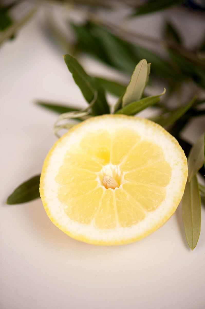 Dammtussen's tweet photo. Vi gillar att använda citron för husmorstips och för rengöring i hemmet.
Som att få ren diskho genom att gnida in den med citron och ren mikro genom att ställa in en skål med kranvatten med citron i mikron på full effekt i 30 sekunder.
https://t.co/w72Jxr0StC
#citron #husmorstips https://t.co/pyJRMHArCR