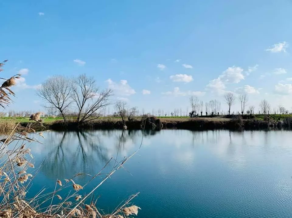 centoboschi's tweet photo. Accolta la richiesta di interdizione caccia presso l'oasi del Gorgo Leze. Un atto importante alla luce del progetto naturalistico-culturale che stiamo portando avanti. Già sottoposta a vincolo naturalistico, fa parte a pieno titolo del reticolo delle Zone Umide Minori polesane. https://t.co/ELtRHB7lmh