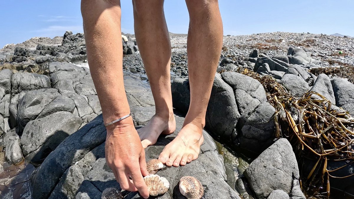 thomas2508's tweet photo. Abkühlung im Meer.☀️

#G9toAmerica #Tag37 #52km https://t.co/JHWODVYIJJ