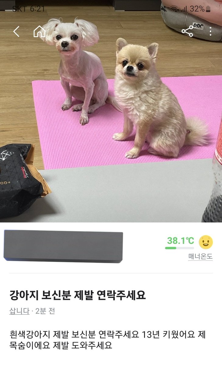 예린아씨... 강아지 주인분 찾았어요... 제발 연락 부탁드릴게요ㅠㅠㅠㅜ