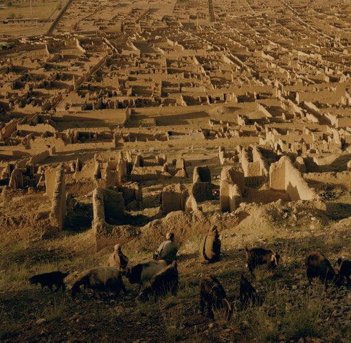 saber_hazara's tweet photo. روح شهدای افشار شاد و یادشان گرامی باد
۲۲دلو 
#StopHazaraGenocide 
#Afshar https://t.co/tAce8QIpMZ