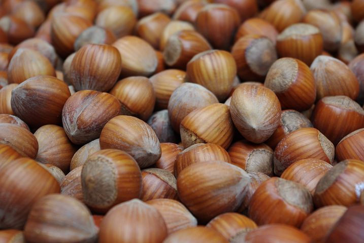 HazelnutStore tweet picture