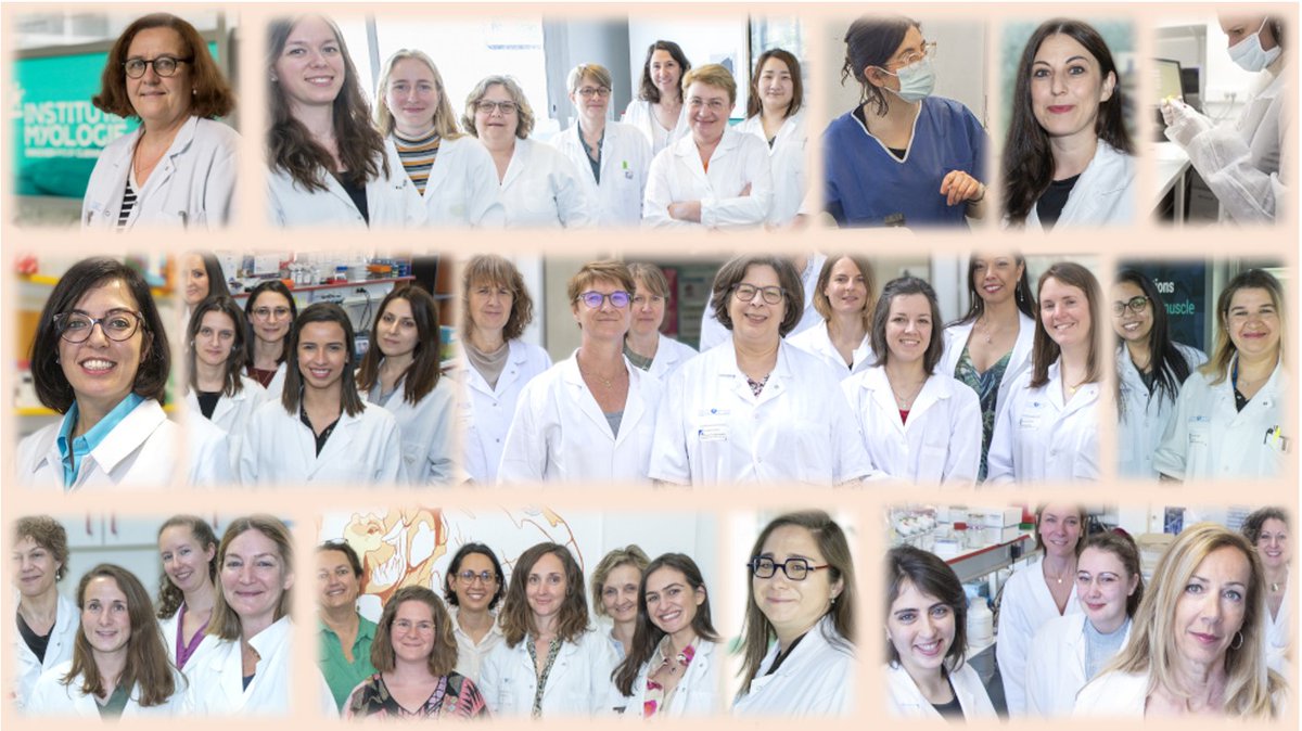 Inst_Myologie's tweet photo. #WomenInScience🧬🔬🩺C'est la Journée internationale des #FemmesEnScience. Fiers de compter 64% de talents féminins dans nos effectifs. MERCI à nos chercheuses, cliniciennes, ingénieures, techniciennes... qui font avancer la recherche, la science et les soins pour les #MNM.👏🙏 https://t.co/4w6ceRGmeX