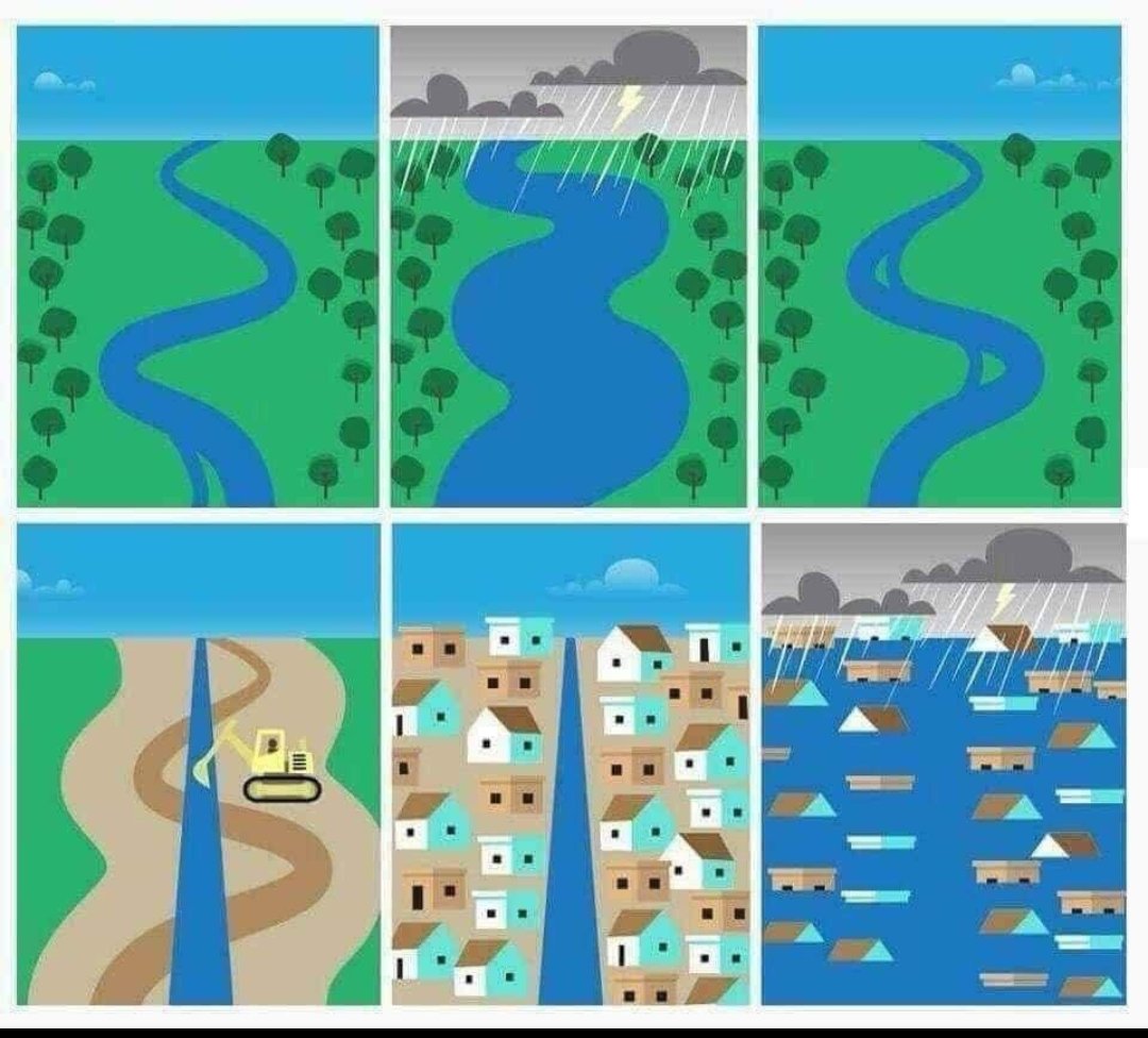 SalimAli_Bird's tweet image. Karma strikes back. The river will return the favor of running bulldozers over it and filling it for beautification, and commercial greed.
#RiverFrontDevelopment #RFDHatao @HillsPune @PuneRiverFront @punecitywatch @cleanindrayani @Jeevitnadi