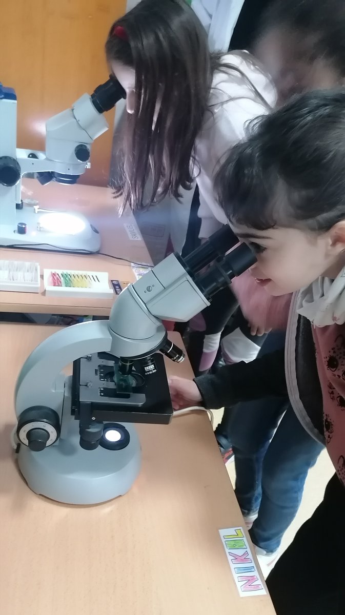 IMIBIC's tweet photo. 👩🏻‍🔬🧪Gema García, Especialista Técnica de la UCAIB Microscopía Óptica Avanzada y Esther Rivero, Lab Manager de la UCAIB Procedimientos Generales, visitaron este jueves el @CeipColon y el CEIP López Diéguez para conmemorar el Día Internacional de la Mujer y la Niña en la Ciencia. https://t.co/TiYhx60PXP