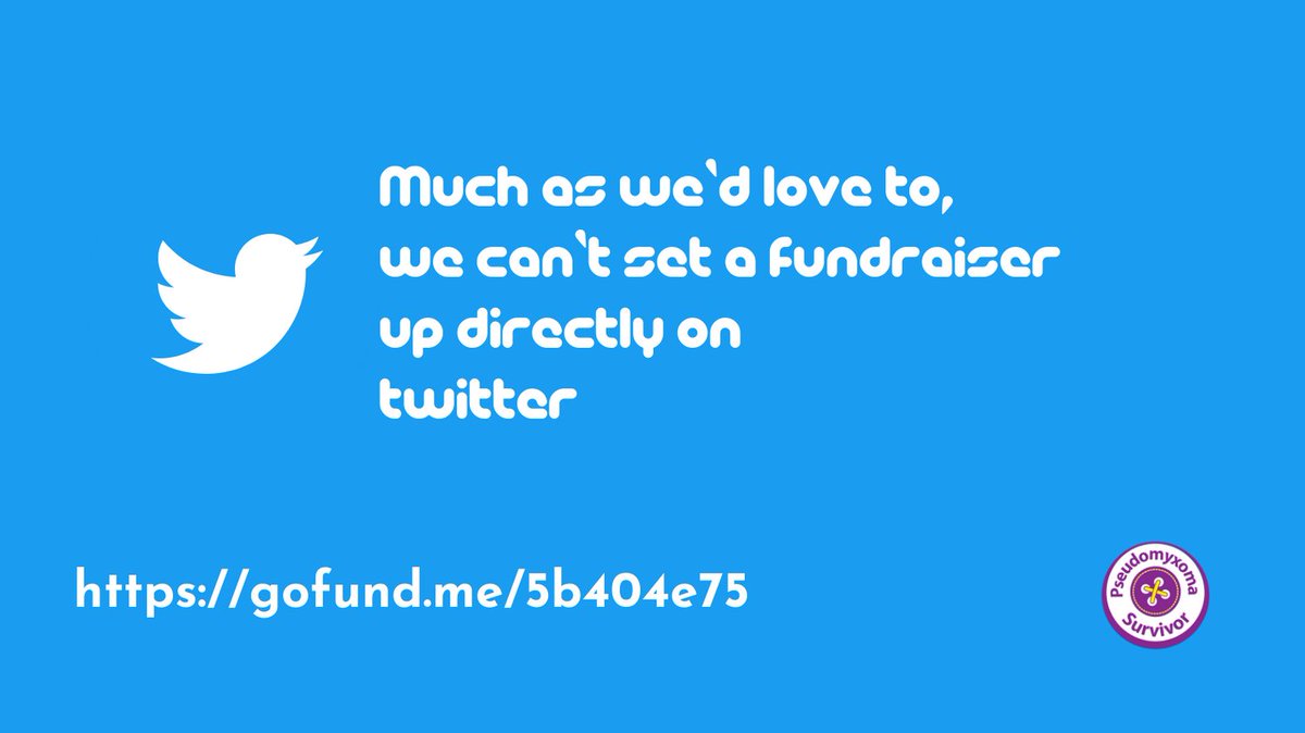 PMPSurvivor's tweet photo. Setting up a fundraiser can be really easy on social media platforms. Unfortunately, we can't do that on Twitter. If you'd like to support our current research fundraiser, go to https://t.co/BiDk7OxpcY
@Flatmark_Lab @twitter @elonmusk
#pseudomyxomaperitonei #appendixcancers https://t.co/Z0u308dTit