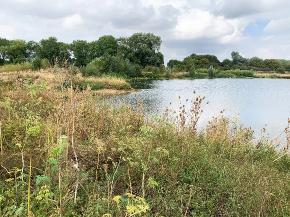 Great news. We’ve raised the cash to acquire a new nature reserve. More one the Langdyke website here langdyke.org.uk/2023/02/fund/