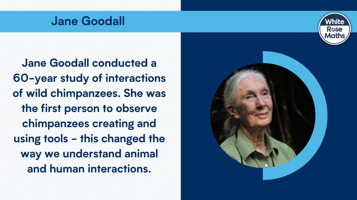 White Rose Education tweet media