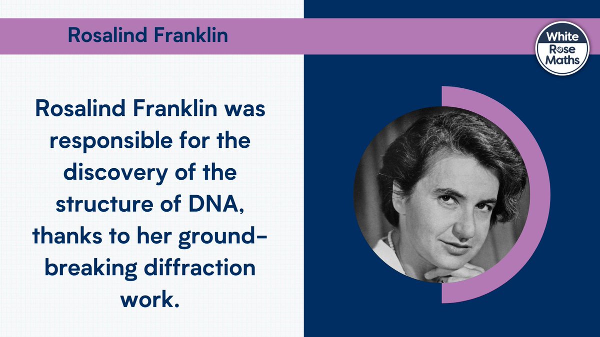 White Rose Education tweet media