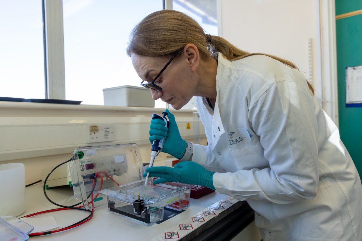 CefasGovUK's tweet photo. Today is the International Day of Women and Girls in Science! A day dedicated to ensuring full and equal access to science for women and girls. @WomenScienceDay 
At Cefas, we're proud to have so many talented women working at our organisation. #CefasScience #WomenInScience https://t.co/IYfSmH7JWt