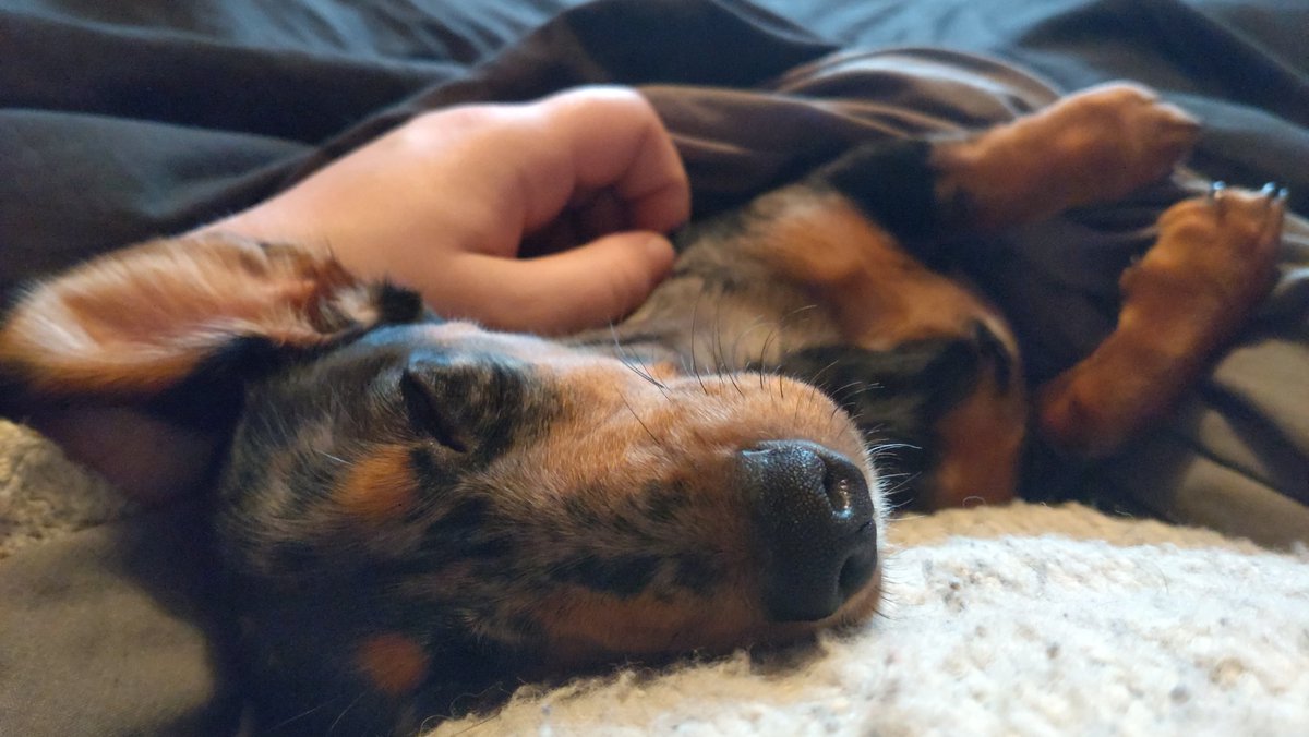 The_DanEffect's tweet photo. Relaxing Saturday morning now https://t.co/q83f58P5vg