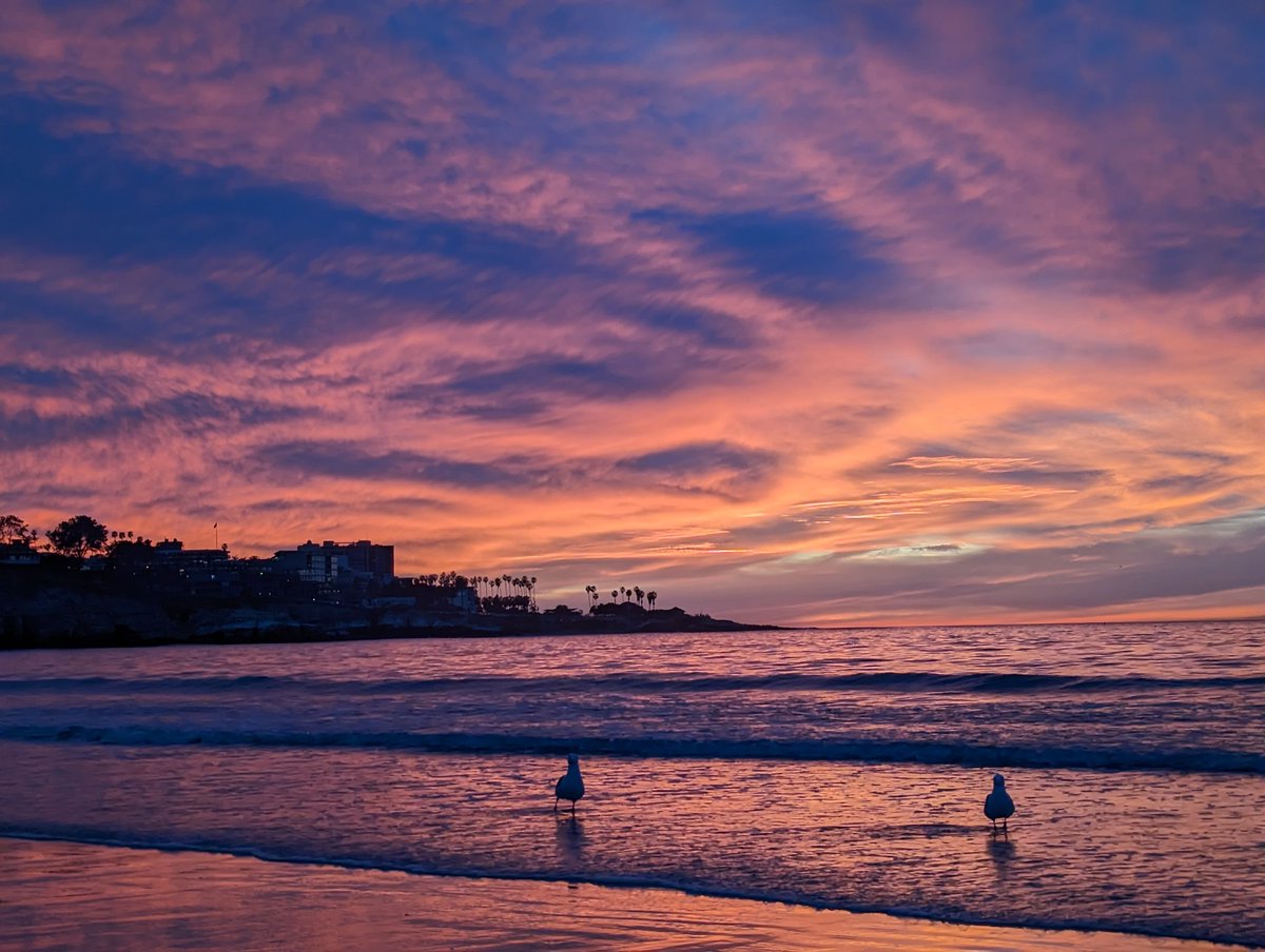 AdVishnuu's tweet photo. Another beautiful sunset. This time with seagulls.
Unedited. Quite close to the real scene. Though I have to admit it was shot on a Google Pixel.

#sunset #SanDiego #LaJolla #Pixel7 https://t.co/IqWRo6EUg6
