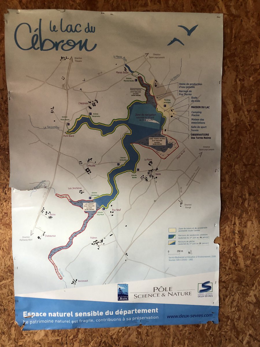 cecile_girardin's tweet photo. Très belle matinée ce matin pour réviser les canards et les grèbes au lac du #cebron en #deuxsevres. C’est avec le #gods dans le cadre de la formation IROC, Initiation à la Reconnaissance des Oiseaux Communs. Prochaine sortie : les oiseaux forestiers https://t.co/GuqcjJSwDS