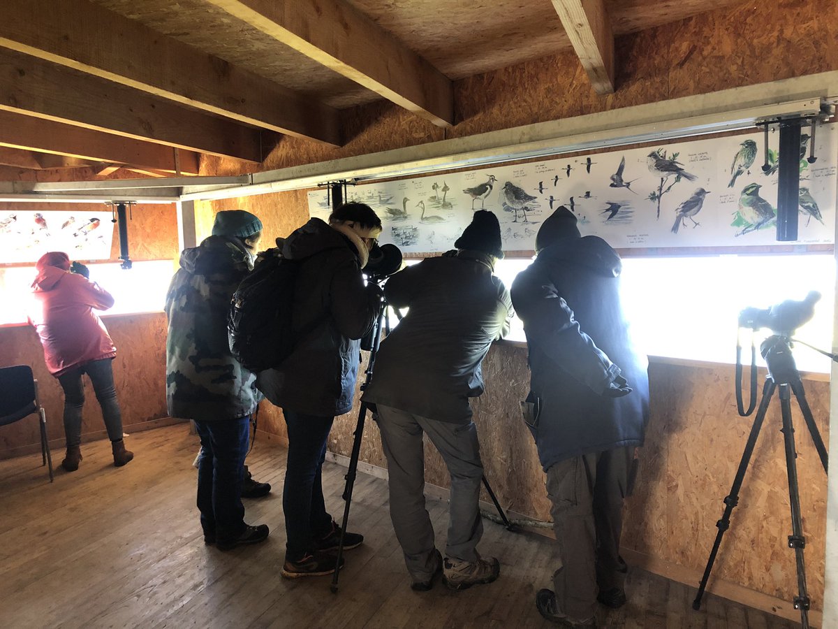 cecile_girardin's tweet photo. Très belle matinée ce matin pour réviser les canards et les grèbes au lac du #cebron en #deuxsevres. C’est avec le #gods dans le cadre de la formation IROC, Initiation à la Reconnaissance des Oiseaux Communs. Prochaine sortie : les oiseaux forestiers https://t.co/GuqcjJSwDS