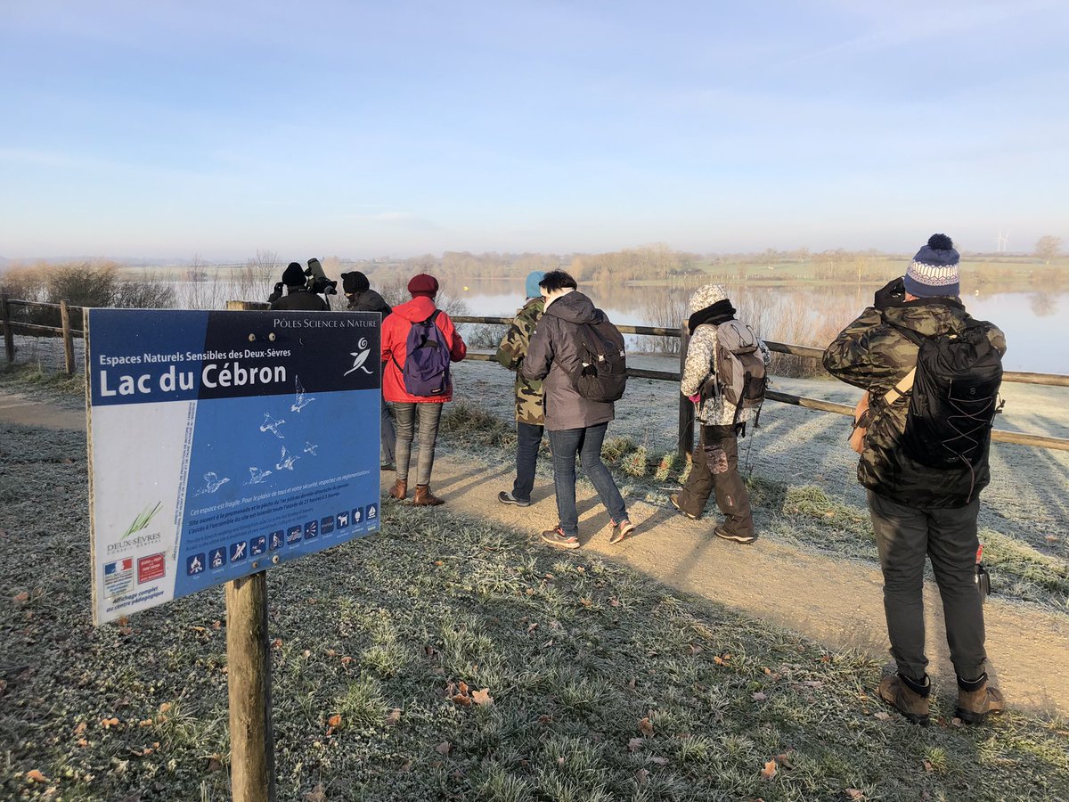cecile_girardin's tweet photo. Très belle matinée ce matin pour réviser les canards et les grèbes au lac du #cebron en #deuxsevres. C’est avec le #gods dans le cadre de la formation IROC, Initiation à la Reconnaissance des Oiseaux Communs. Prochaine sortie : les oiseaux forestiers https://t.co/GuqcjJSwDS