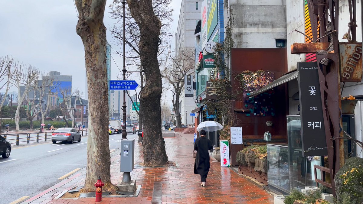 4K_KOREA's tweet photo. 🔘 Morning after Rain, #Hyehwa(#Daehakro) to #Myeongdong
🔘 雨の朝, #恵化(#大学路)から #明洞 へ
https://t.co/rUjgpVQ7jD
#韓国旅行 #ソウル旅行 #ソウル #韩国 #Seúl #Corea #koreatravel #seoultravel #caminandotour #caminotour
4K KOREA,Online #Korea 🇰🇷 #Travel/ #Trip/ #Tour https://t.co/20UWRAlGmu