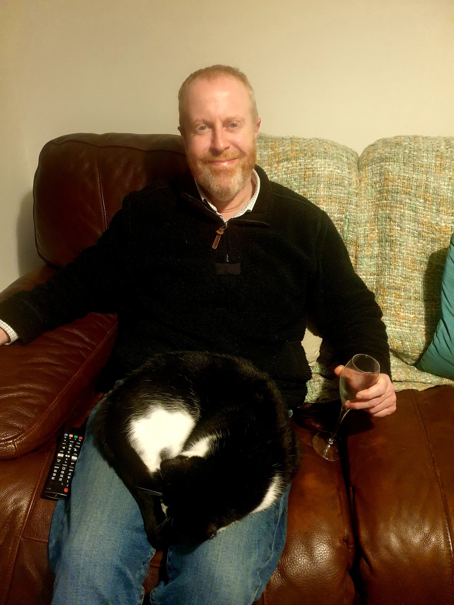 Nick Holland on Twitter "A caturday image of domestic bliss, a Friday