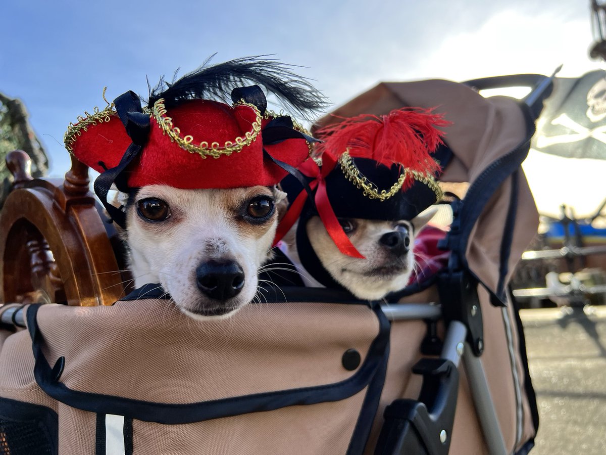 kevsmac's tweet photo. Arrrr….
#whitbysteampunkweekend https://t.co/XDHm47WP7L