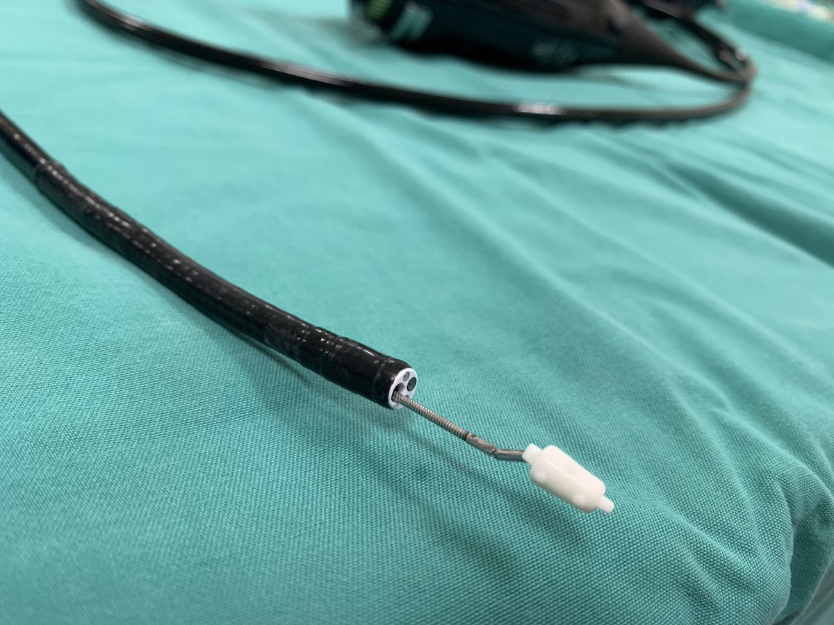 Pulmonary Endoscopy tweet media