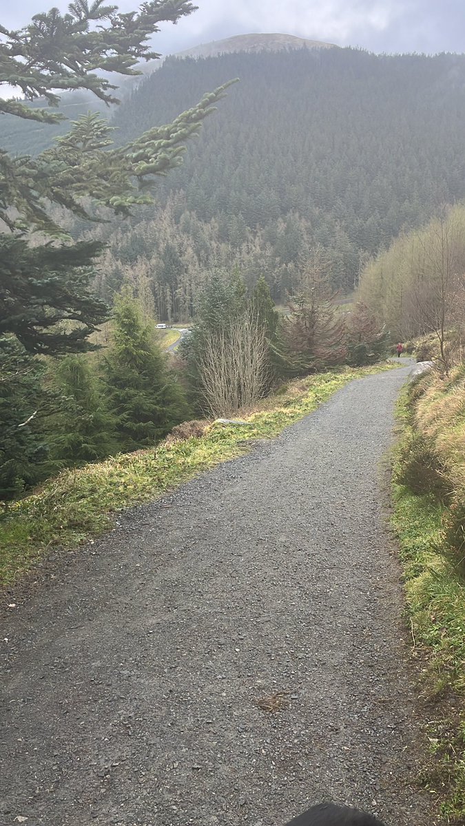 simonjcowan1's tweet photo. Great to get out and kick start  a number of months dedicated to promote physical wellbeing @Liberty_IT  #Litgetsmoving https://t.co/XWhsvYQjsb