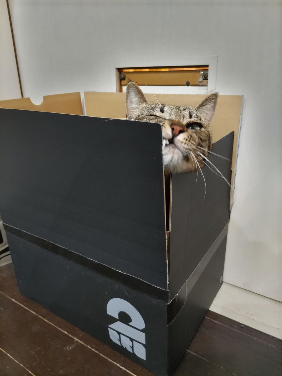 KEKE_0824's tweet photo. 届いた～😍タグからパッケージから全部オシャレ❗️何も捨てる物がない。箱は猫達に🙆
#2BRO.  #2BROSTORE https://t.co/ehBFnqVGOR