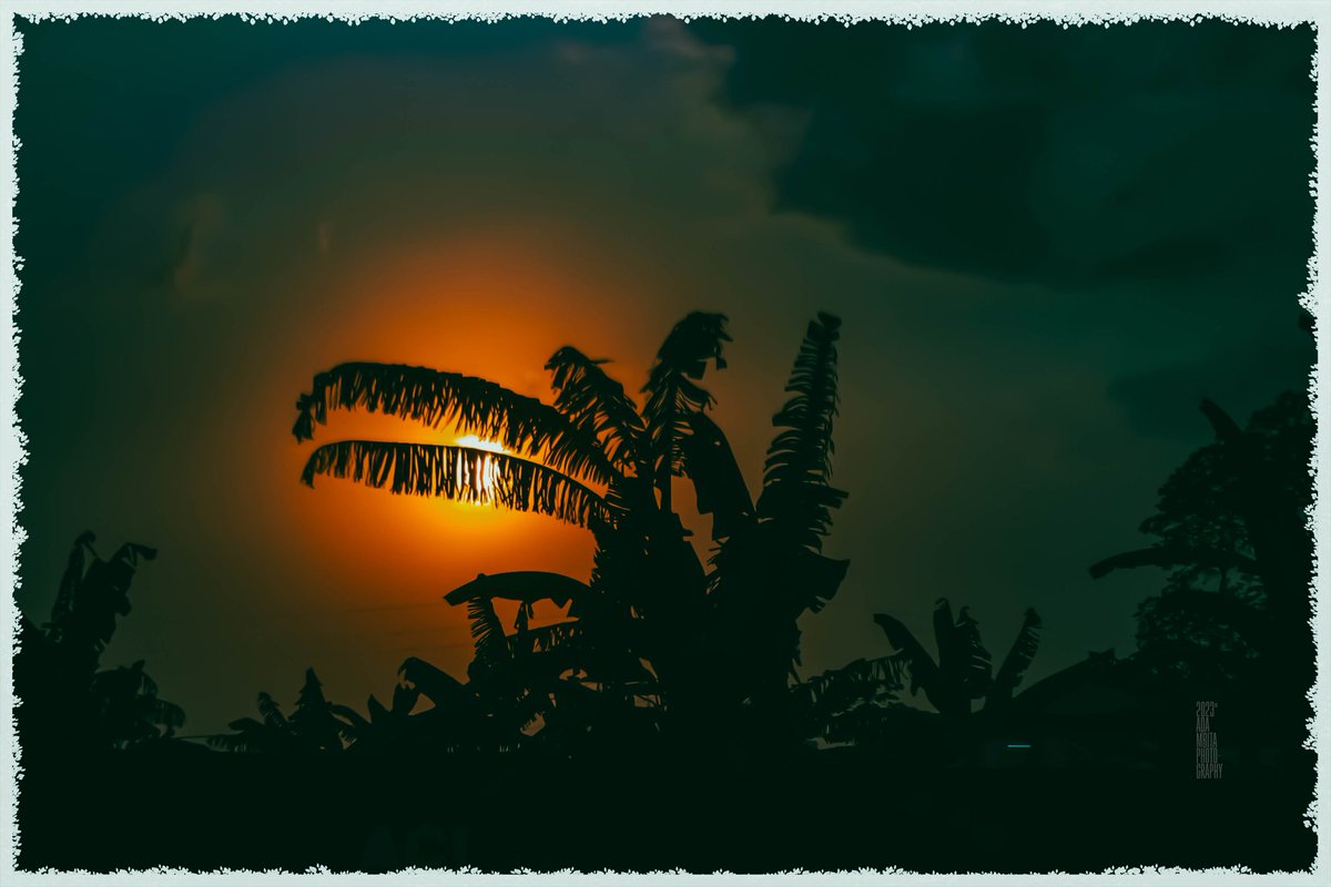adambita237's tweet photo. Bonjour à tous,
Pour un mois de Février ensoleillé
11.02.2023
Magnifique couché de soleil sur la route de Mbalmayo
Crédit photo : @adambita237
Balade au coucher du soleil en Afrique.
Découvrir l'Afrique ➡😱🌇
#mboapic #streetphotographer #sunsethunters
#BaladeEnAfrique https://t.co/DtDkyATnHX