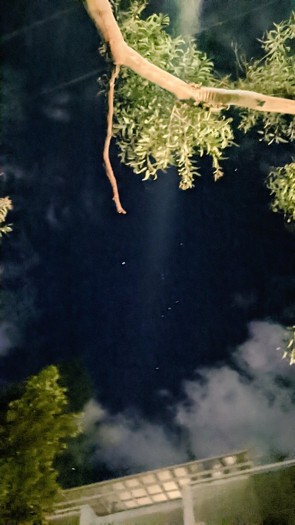 duoblanja's tweet photo. Kiam mi promenas hejmen nokte, unu el miaj kutimoj estas rigardi la ĉielon kaj trovi la konstelacion Zono de Oriono. Ial, trovi ĝin donas al mi iom da komforto. https://t.co/XriYU2CPty