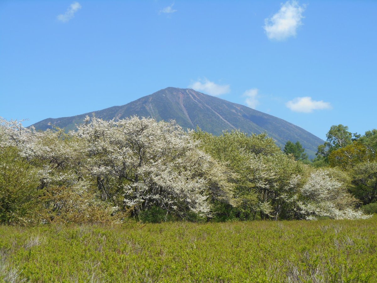 soyuki10's tweet photo. 東京から日光市に移住して、今月で10年になります。10年は短くもないし、長くもない感じ。まだまだよそ者感は続いているし、東京が恋しくなることもあります。でもけっこう暮らしやすくて、自然が身近にあって、なんと言っても大好きな奥日光に気軽に手軽に行ける環境は最高かな、と思っています😊 https://t.co/RZ0AZ4xmVk