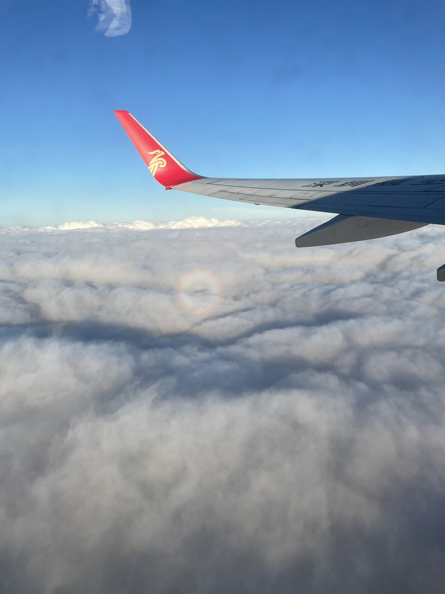 昨天来 今天回  明天还要跑香港🤧🤧🤧