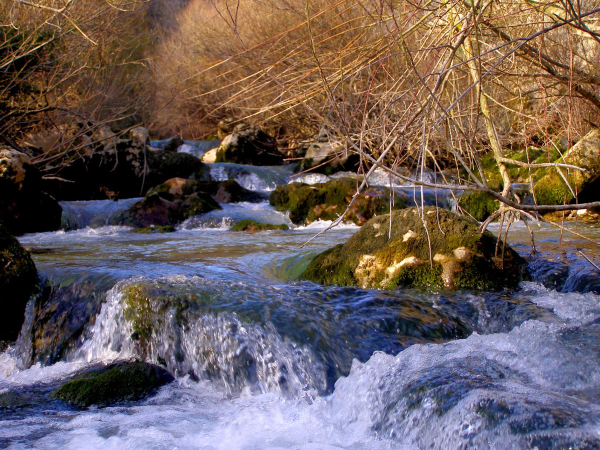 PatrimonioAlava's tweet photo. #Musitu. El Barranco de #Igoroin fue excavado por el río Igoroin en las duras calizas y calcoarenitas de los montes de #Iturrieta. Cuenta con un #bosque de hayas, arces y hasta 64 otras especies. #Álava
Foto: @oscarkorres https://t.co/nusxoEz1IH