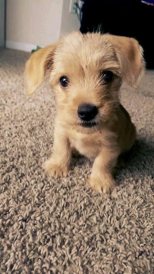 Don't scroll without giving me some love 💞🥹😍