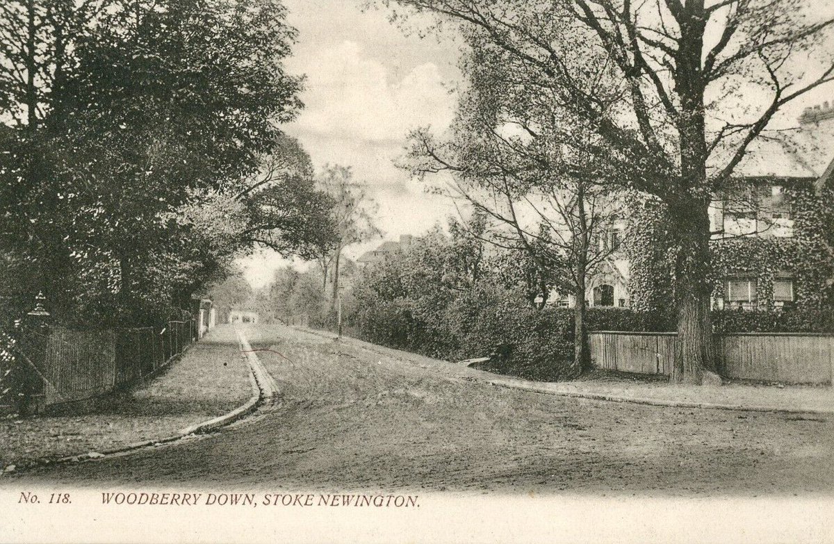 Stoke Newington History tweet media