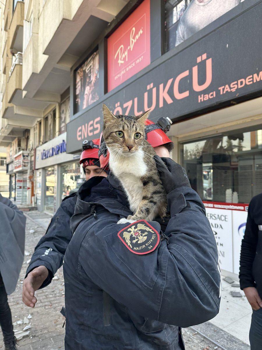 backtoblackis's tweet photo. Biz bugün bi kedi kurtardık 🥹
İsmi de #PAK oldu ♥️ https://t.co/UCenQWFZuY