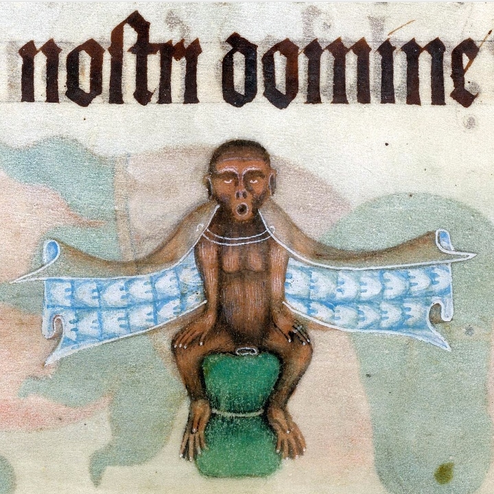 EMedievales's tweet photo. Petit #singe dans Le #Luttrell #Psalter, #Angleterre , v. 1325-1340. #British Library, Add 42130, fol. 189v
#monkey #ape #medieval #art #marginalia #14thcentury #art #animalsmedieval #manuscript #book #monkey #England #animals
#animal #histoire
#history https://t.co/omBisEwIj2