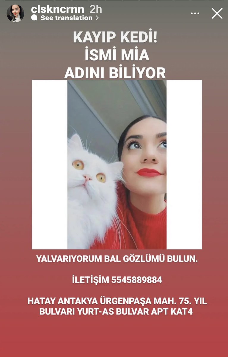MİA KAYIP!
HATAY #ANTAKYA ÜRGENPAŞA MAH 75. YIL BULVARI. YURT-AS BULVAR APT. KAT4