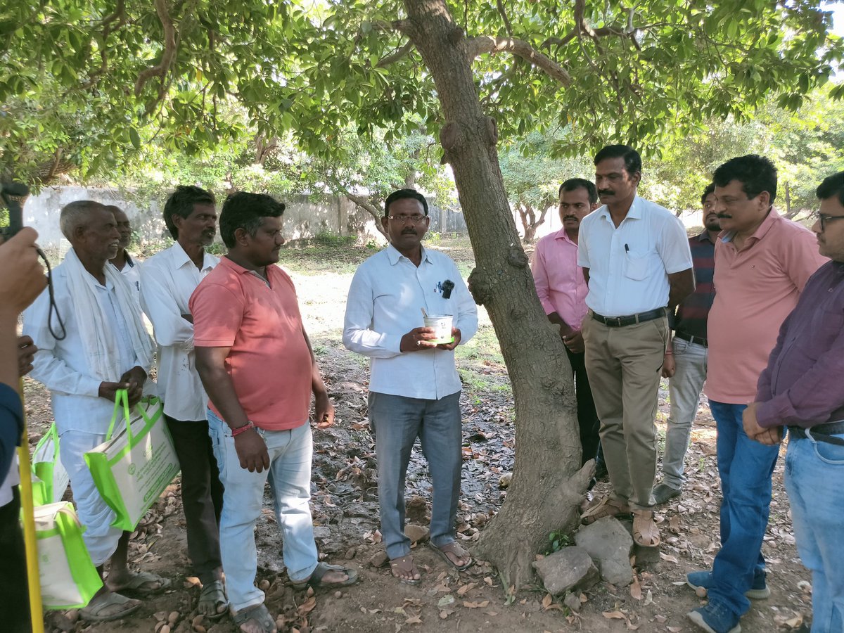 Today conducted awareness to mango, guava and creeper vegetable farmers about fruit fly damage as it became predominent pest now and its control in coordination with Dr kiran Director of Extension SKLTSHU at HRS malyala.