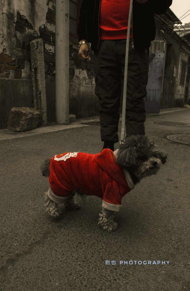 running1277's tweet photo. 还有人在呐喊，在表达人们对未来的需要，我除了觉得“太好了”，不知道该如何表达。 https://t.co/8sfwl8pHO1