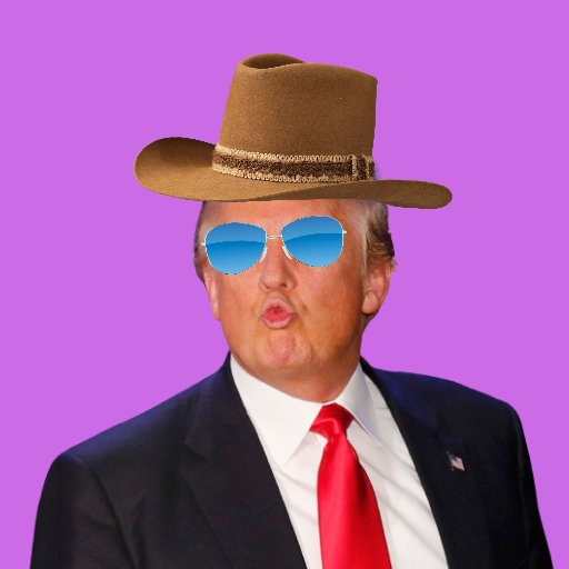 Trump Digital Trading Card 2nd Generation tweet media