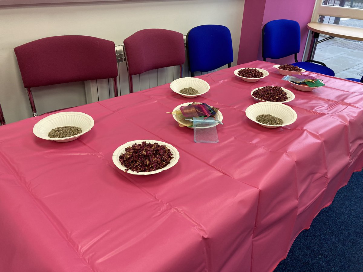 Shelley Lewis tweet media