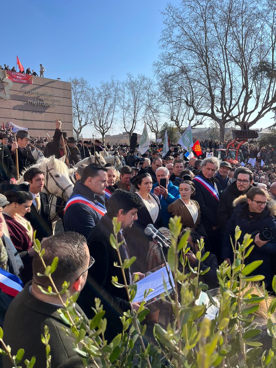 JeromeDespey's tweet photo. Une mobilisation exceptionnelle pour la defense de la ruralite, nos traditions camarguaises,l agriculture,la chasse…Mon total soutien et bravo aux organisateurs ⁦@RemiDumas34⁩ ⁦@laurentjaoul⁩ et leurs collègues plus que jamais unis pour que l’on nous respecte. https://t.co/74DzGt6sBU