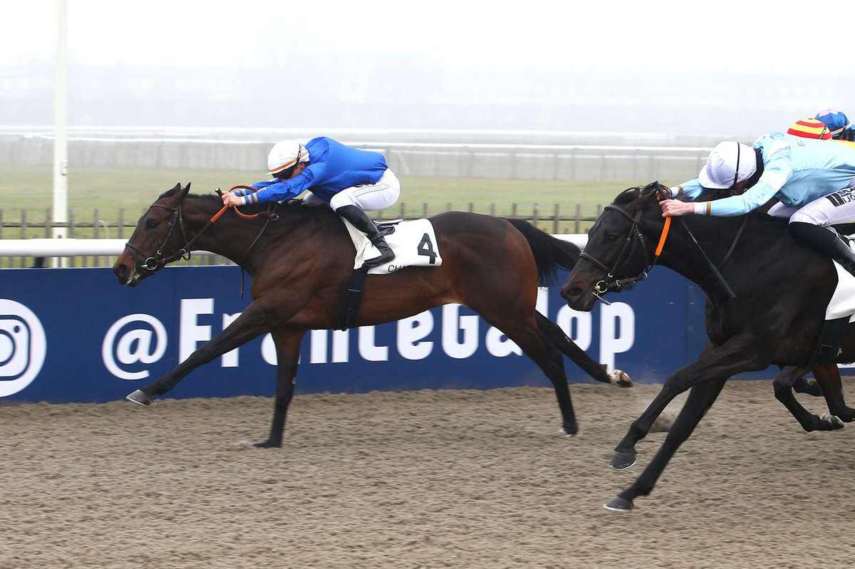 Jour de Galop (@jour_de_galop) on Twitter photo ZALAMO (Seahenge <a href="/haieneuve/">Haras de la Haie Neuve</a>) remporte le Prix du Castel (Classe 1) à <a href="/fgchantilly/">FG Chantilly</a>. C'est un représentant de S.Vidal et de son entraîneur <a href="/ChappetRacing/">Chappet Racing</a> . Il était associé à <a href="/pasquito60/">Pasquier Stéphane</a>. <a href="/InfoArqana/">ARQANA</a> <a href="/Charles_Briere_/">Fairway Consignment</a> <a href="/jhammondracing/">John Hammond</a>
📸 <a href="/ScoopDyga/">ScoopDyga</a> ZALAMO (Seahenge <a href="/haieneuve/">Haras de la Haie Neuve</a>) remporte le Prix du Castel (Classe 1) à <a href="/fgchantilly/">FG Chantilly</a>. C'est un représentant de S.Vidal et de son entraîneur <a href="/ChappetRacing/">Chappet Racing</a> . Il était associé à <a href="/pasquito60/">Pasquier Stéphane</a>. <a href="/InfoArqana/">ARQANA</a> <a href="/Charles_Briere_/">Fairway Consignment</a> <a href="/jhammondracing/">John Hammond</a>
📸 <a href="/ScoopDyga/">ScoopDyga</a>