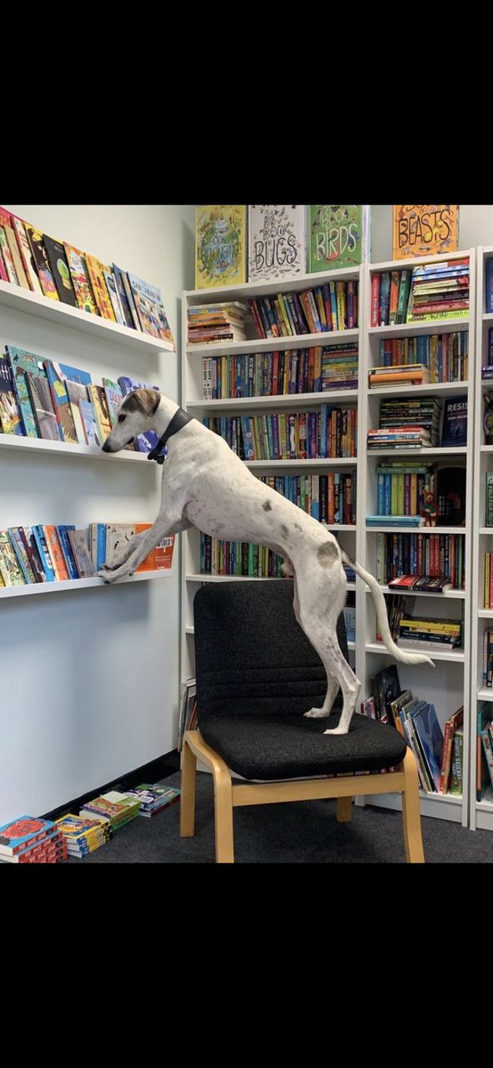 Vikki Fenton 📚 ❤️ tweet media