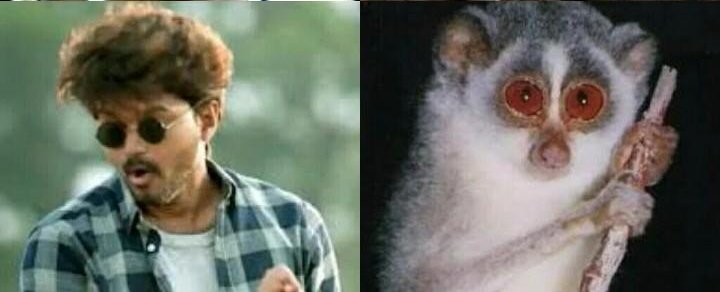 its_thriller1's tweet photo. @kumaran1597 #Devangu for a reason 😂🐿️ https://t.co/wVCF3nR13X