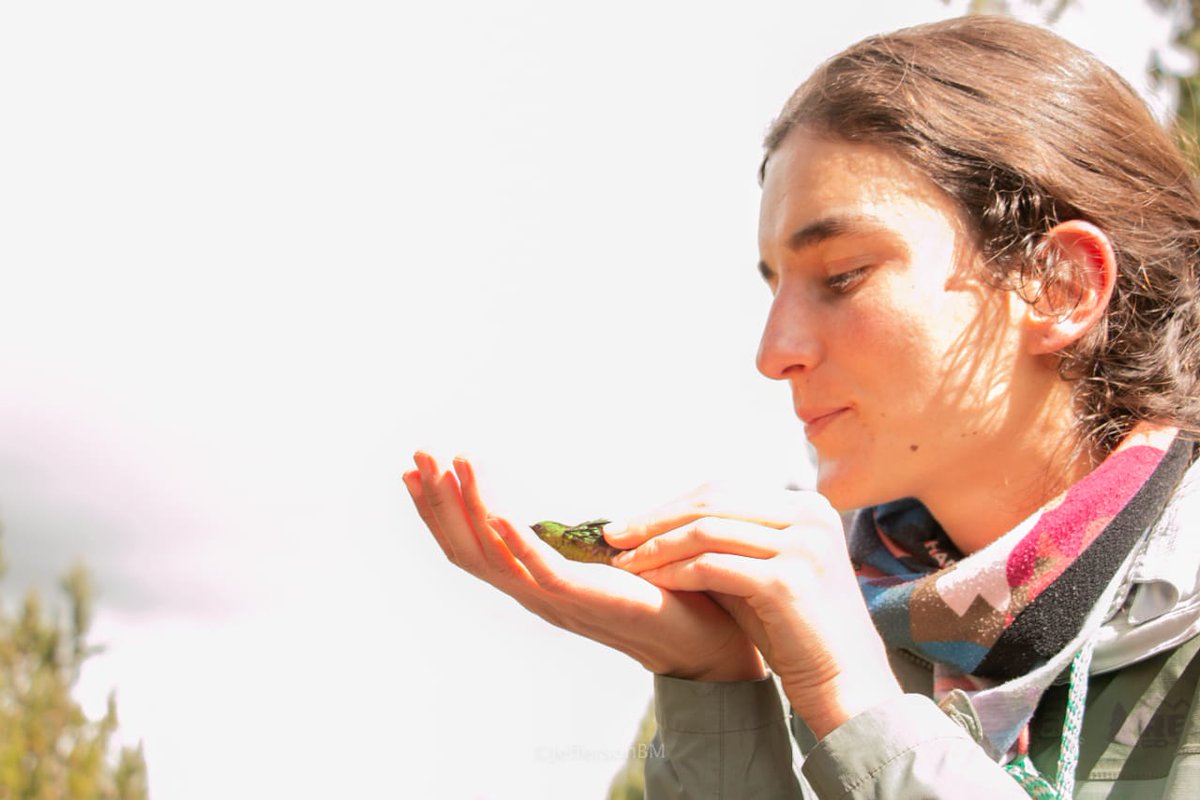 School of Biological Sciences (@uoabiosci) on Twitter photo Next <a href="/RuedaUCristina/">Cristina Rueda</a> researches animal movement in tropical mountains to understand how landscapes provide connectivity. Her time is divided between the field, lab work & ecological modelling, she now focuses on hummingbirds in tropical alpine ecosystems #SBSWomen #WomenInScience Next <a href="/RuedaUCristina/">Cristina Rueda</a> researches animal movement in tropical mountains to understand how landscapes provide connectivity. Her time is divided between the field, lab work & ecological modelling, she now focuses on hummingbirds in tropical alpine ecosystems #SBSWomen #WomenInScience