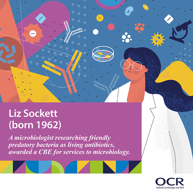 OCR_Science's tweet photo. Happy  @WomenScienceDay!

#FEBRUARY11 #iwdgs #womeninscience #girlsinscience https://t.co/mtRbQbW7UC