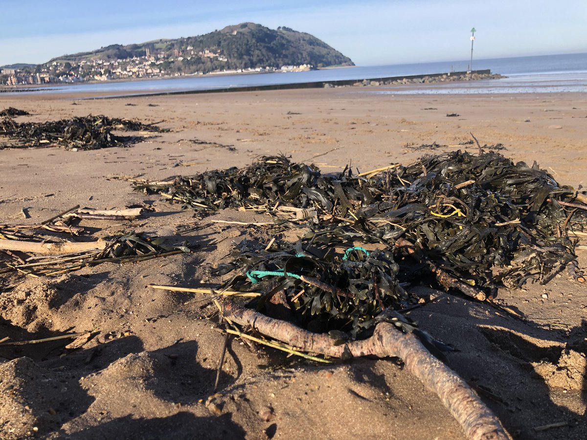 We’ve been away on a family break for a few days but the ghostgear never rests!